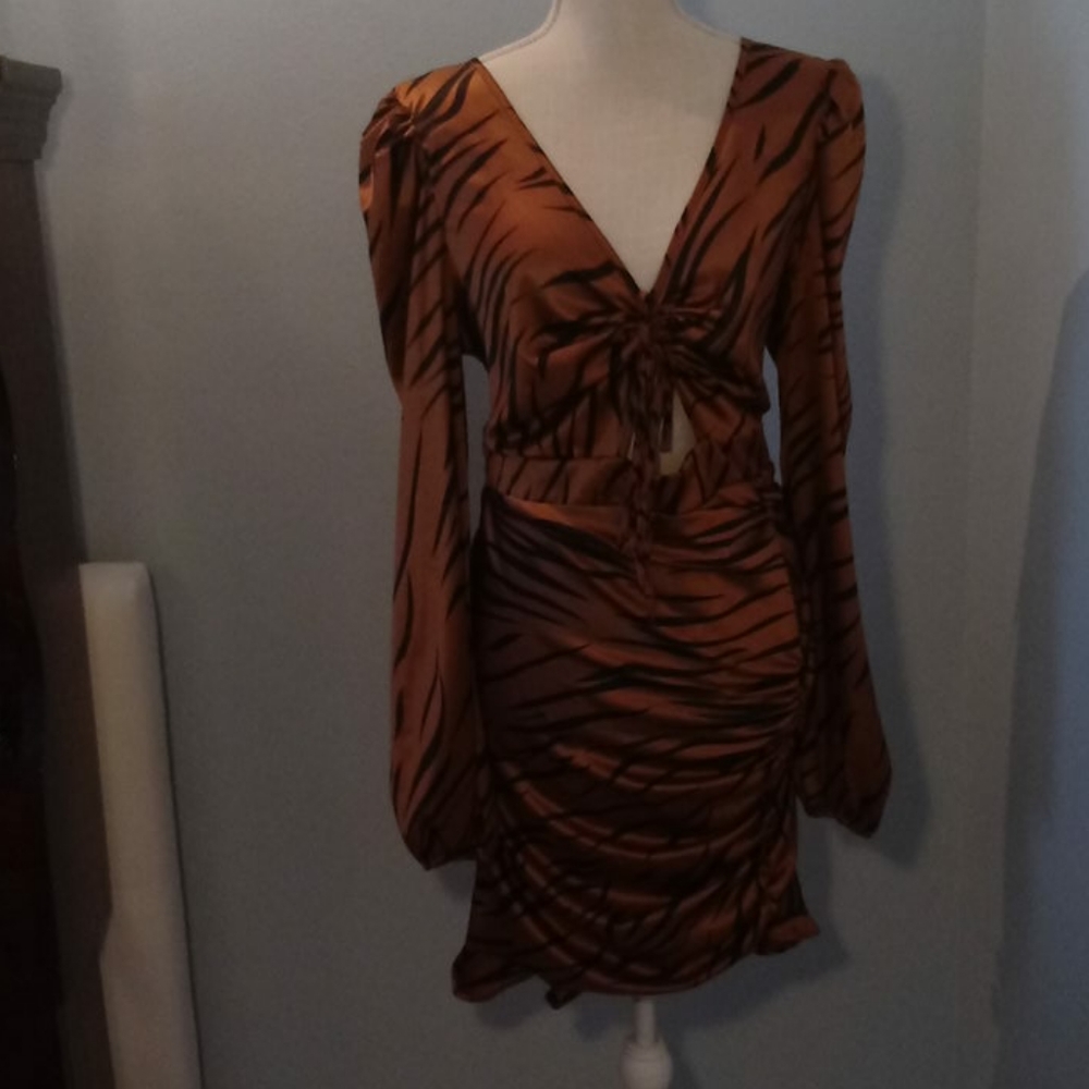 Fashion Nova tiger print dress